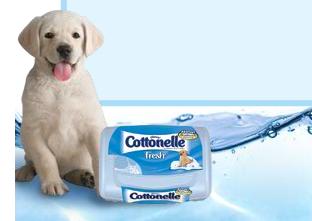 Cottonelle Fresh Flushable Moist Wipes