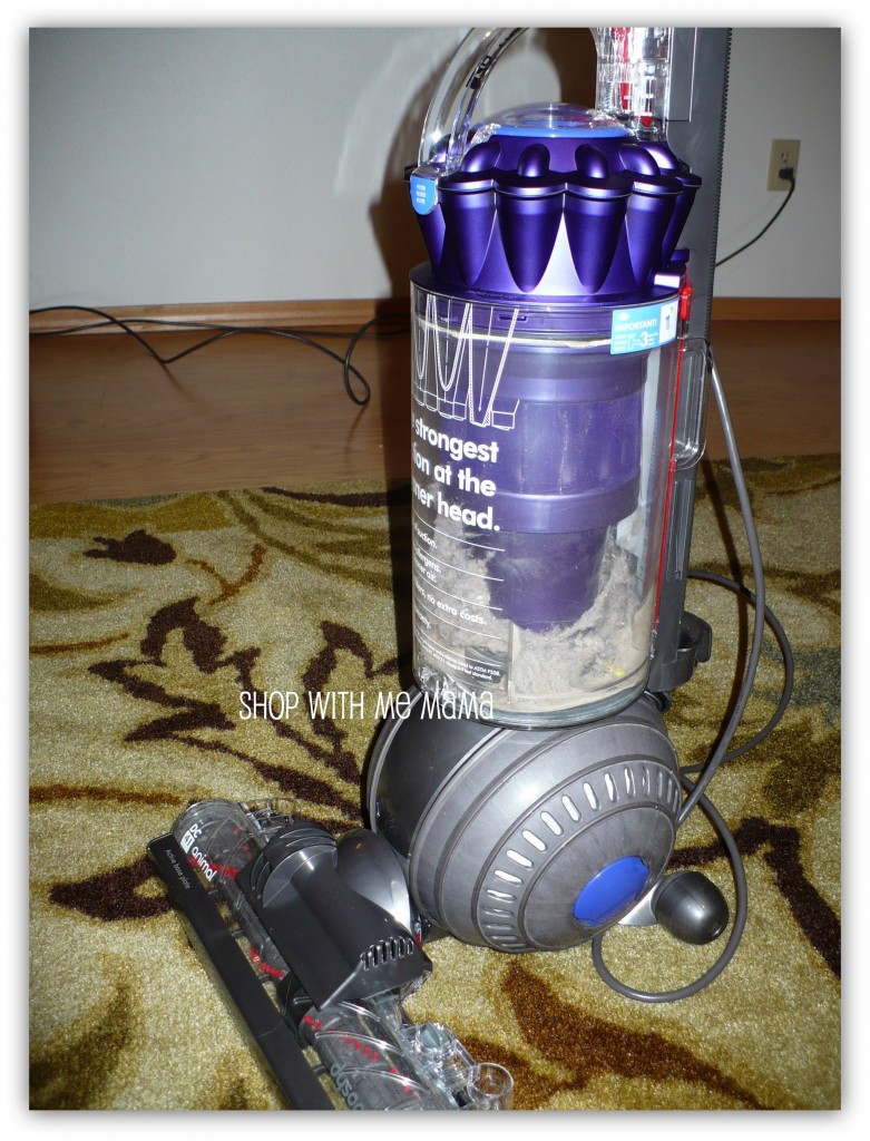 Dyson DC41 Animal Review