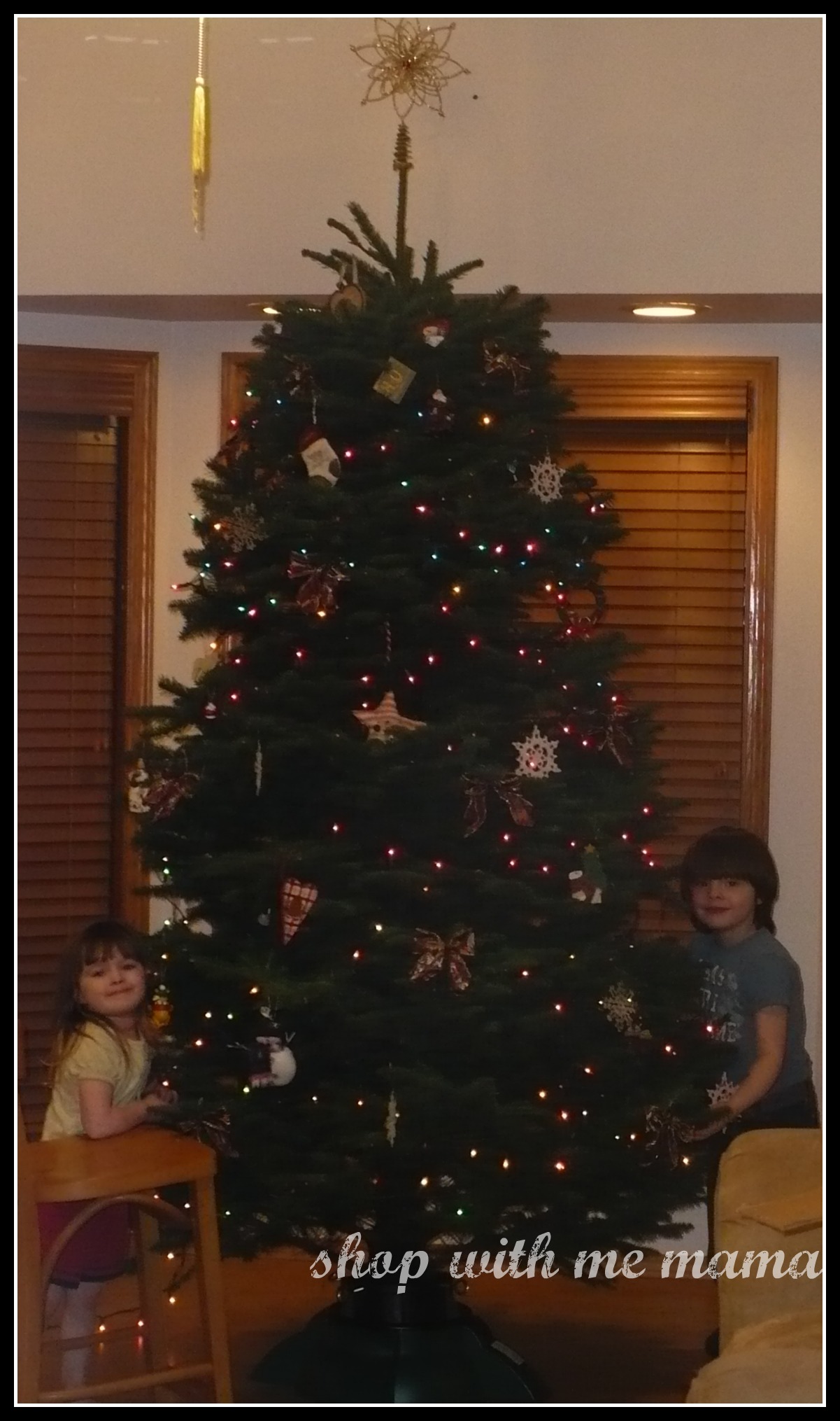 decorating the Christmas tree