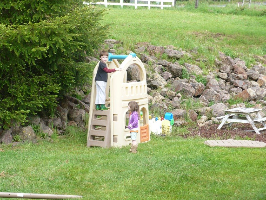 Step2 Naturally Playful Playhouse Climber & Swing Extension 