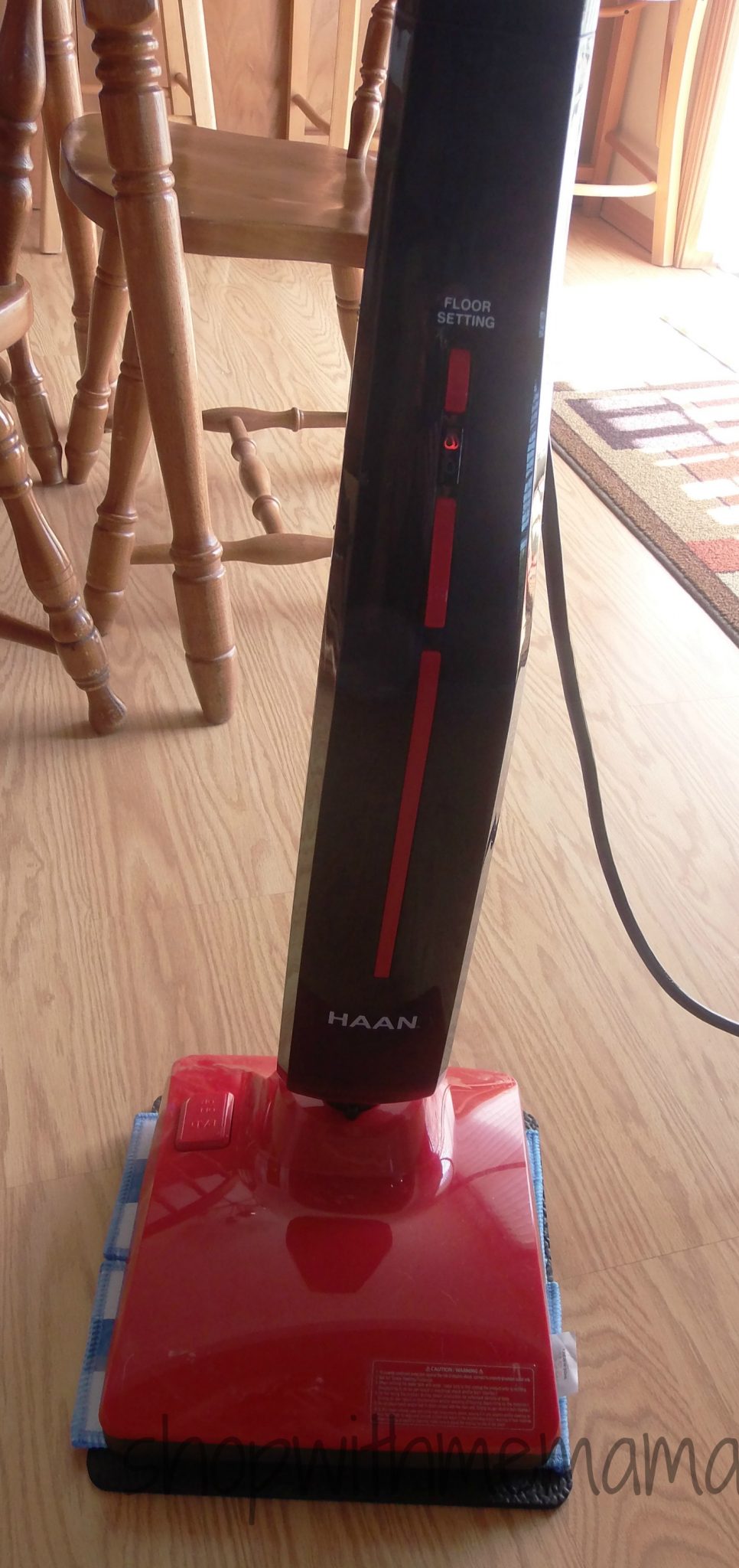 Indoor and Outdoor Steam Cleaner