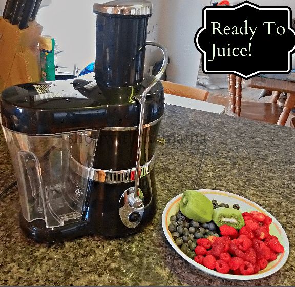 Jack lalanne juicer express best sale