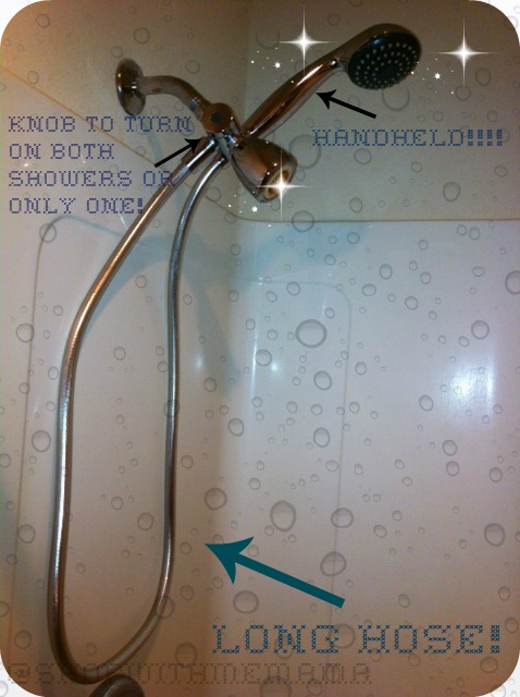 Rejuvenator Microbubble Showerhead 