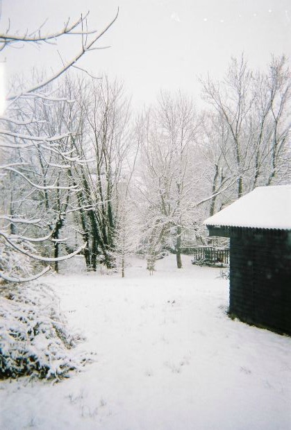 Safely store your items in the Lifetime Storage Shed