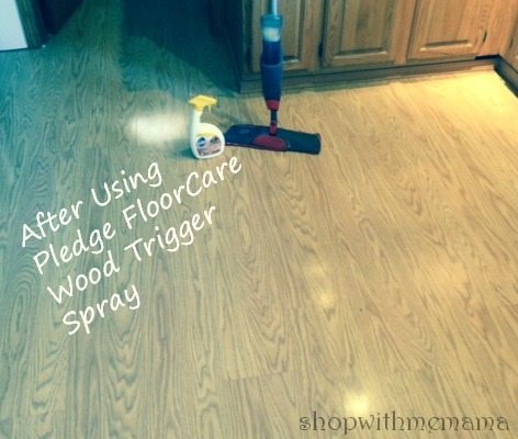 FloorCare Wood Trigger Spray after picture