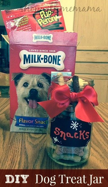 DIY Holiday Treat Jar For Your Dog