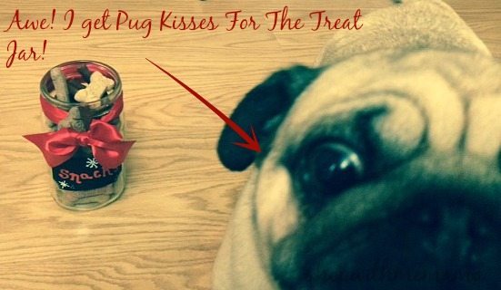 DIY Holiday Treat Jar For Your Dog