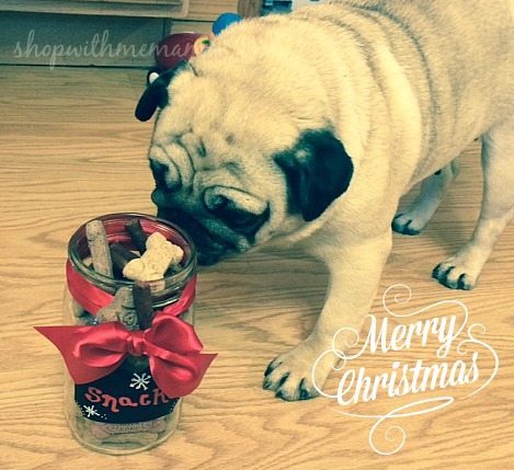 DIY Holiday Treat Jar For Your Dog