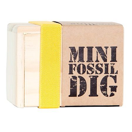 Mini Fossil Dig