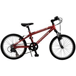 Schwinn Scour 20" Kid's Bike