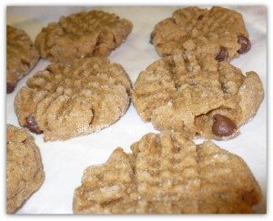 peanut-butter-chocolate-chip-cookies-