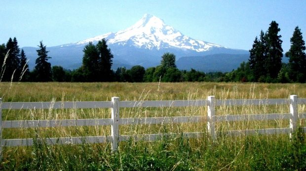 Best Hikes with Views in the Northwest 