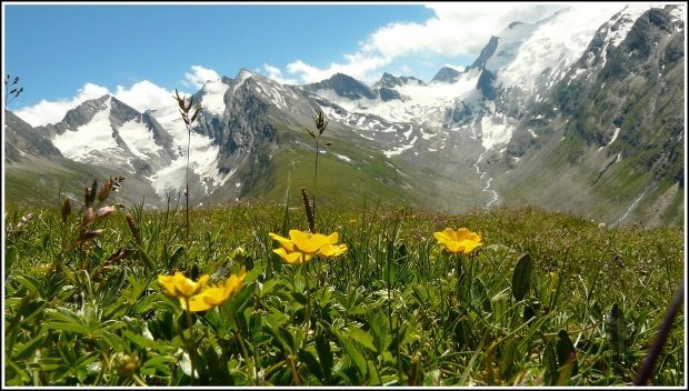 Most stunning drives in the Austrian Alps