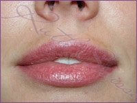 permanent makeup lip liner/stain