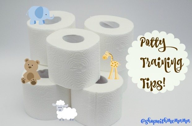 Potty Training 101 Helpful Tips 