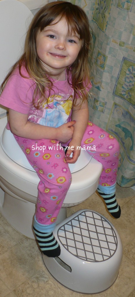 Potty Training 101