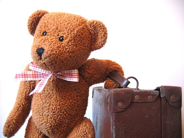 Teddy Bear Traveling with a suitcase