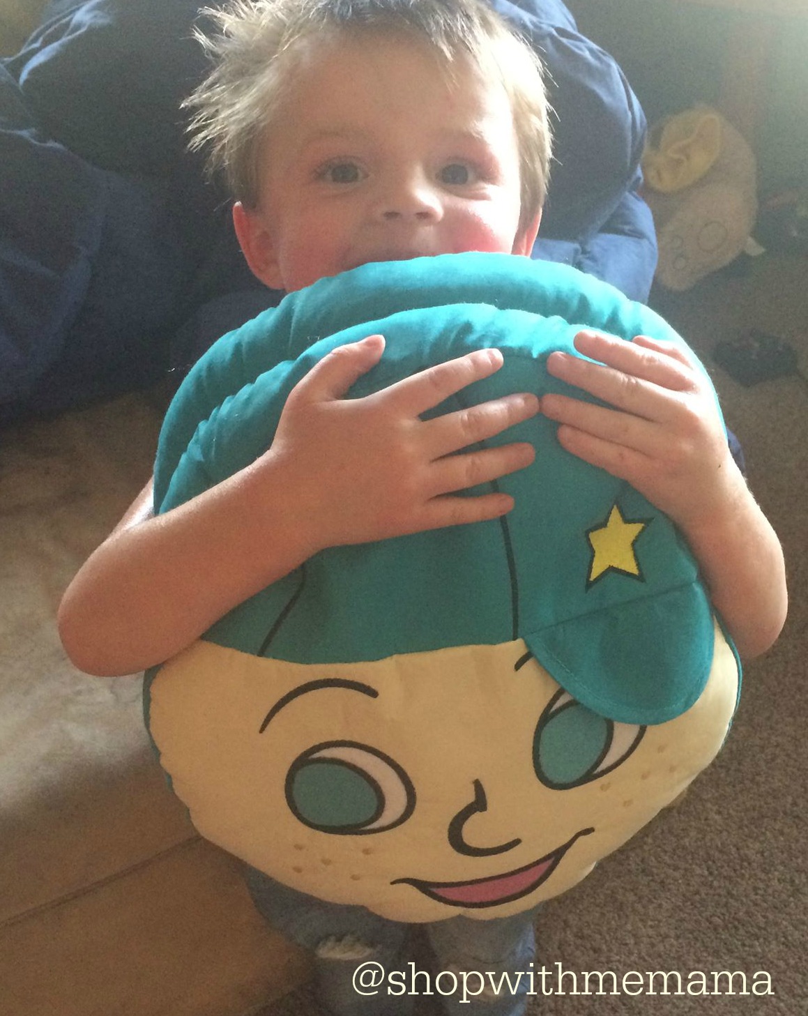 Dream Frenz Pillow Review