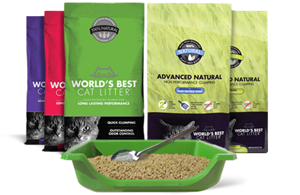 The World's Best Cat Litter