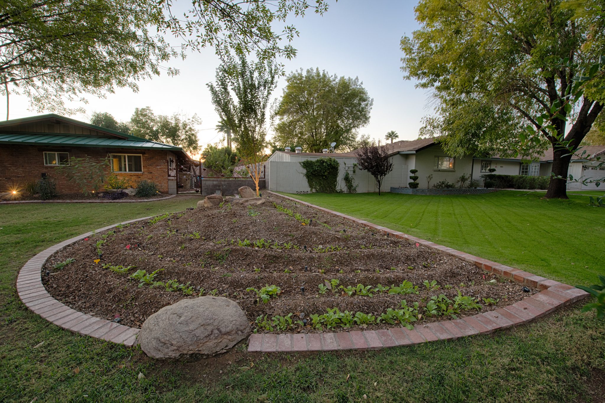 How To Grow An Edible Garden