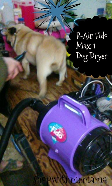 Groom Your Pets At Home With B-Air Fido Max 1 Dog Dryer 