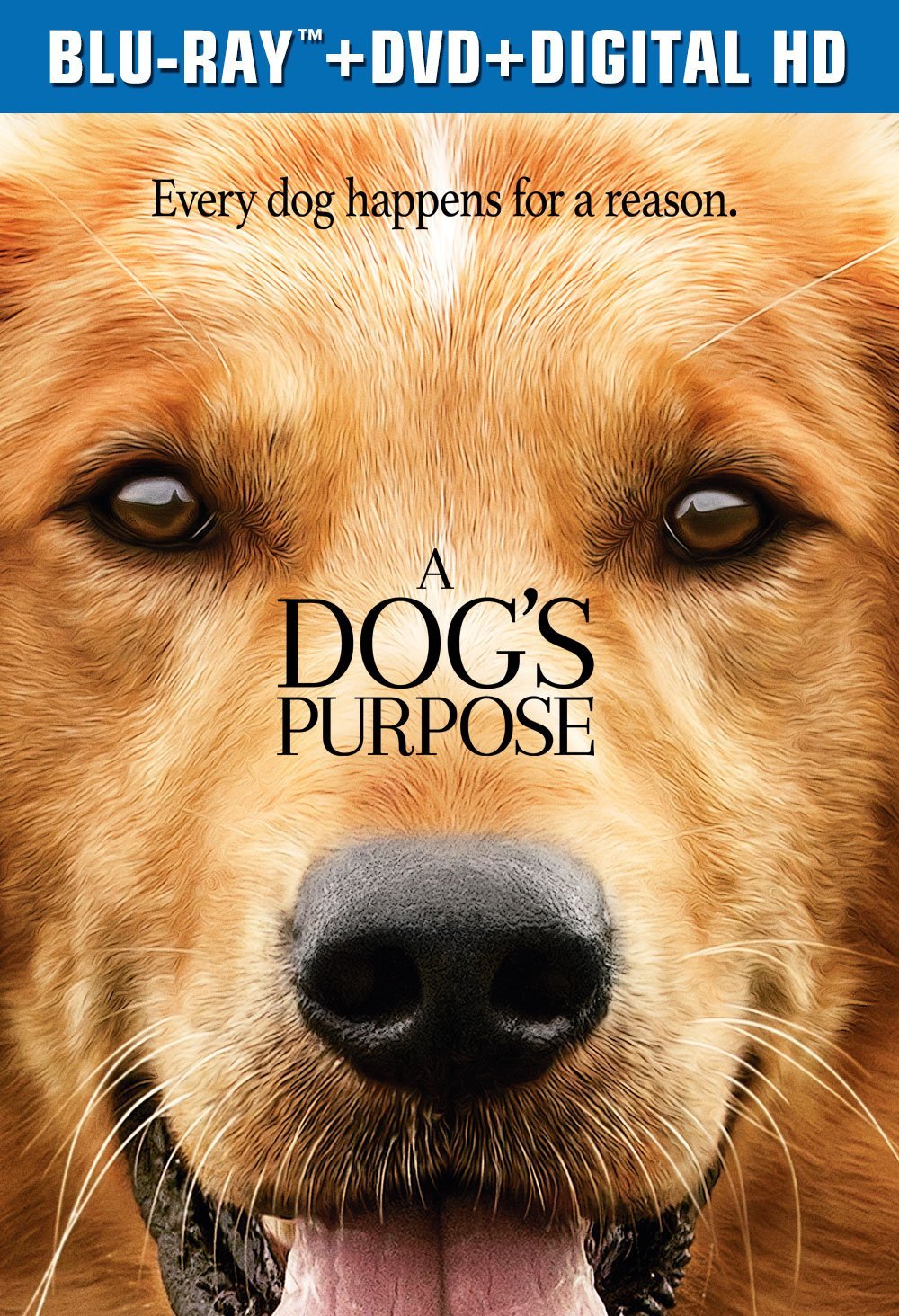 A Dog's Purpose Is An Adorable And Heartwarming Film!