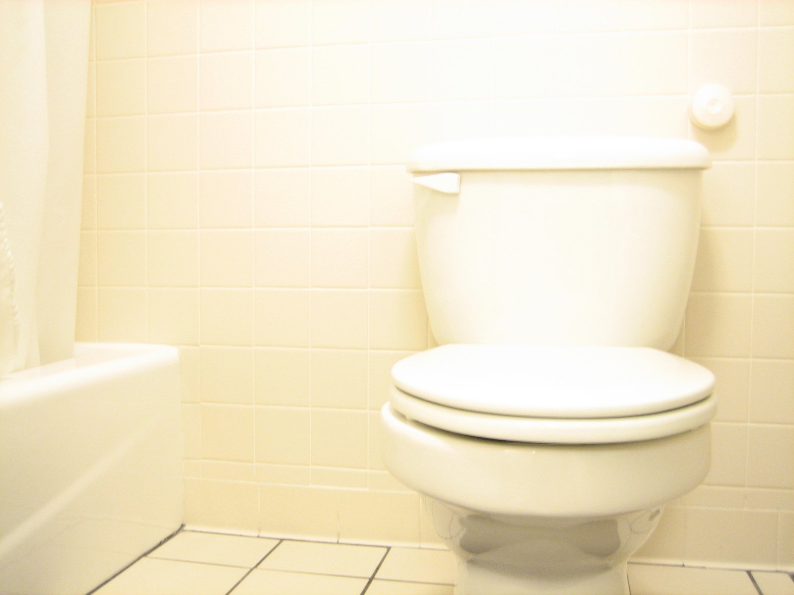 Why Your Toilet Tank is Leaking