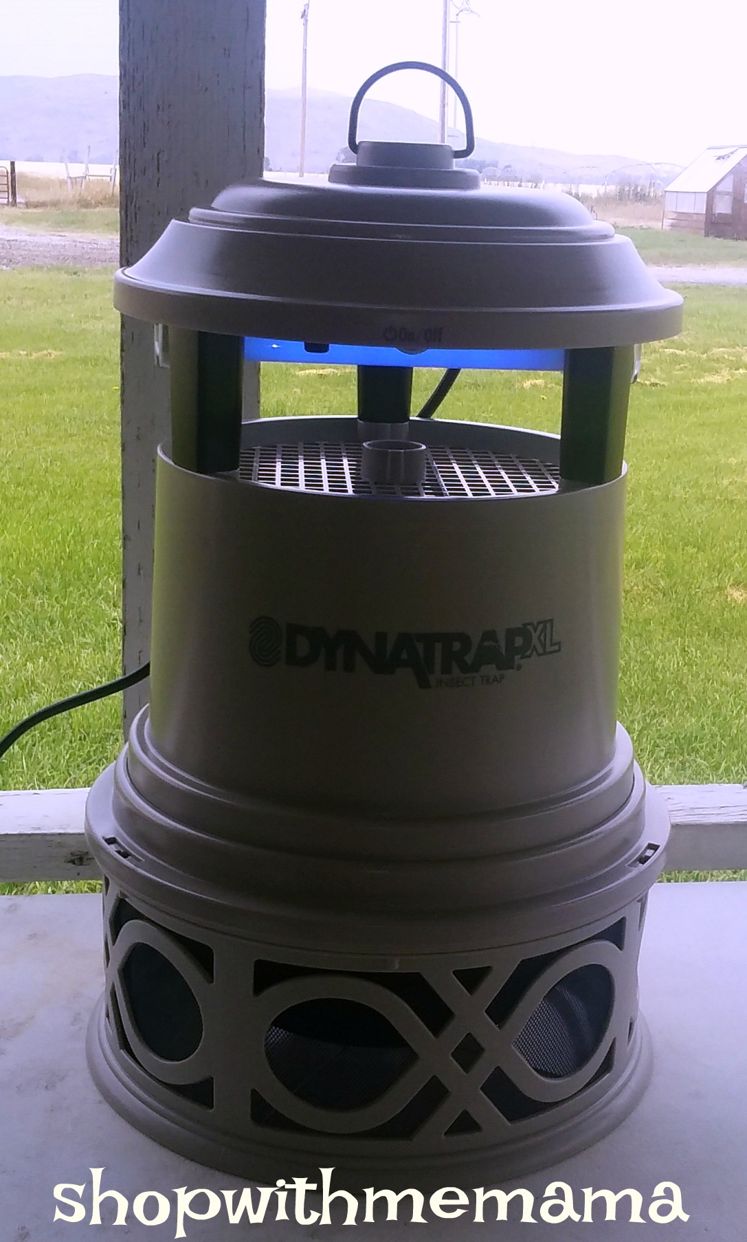 Getting Rid of Annoying Flying Pests Outside with Dynatrap