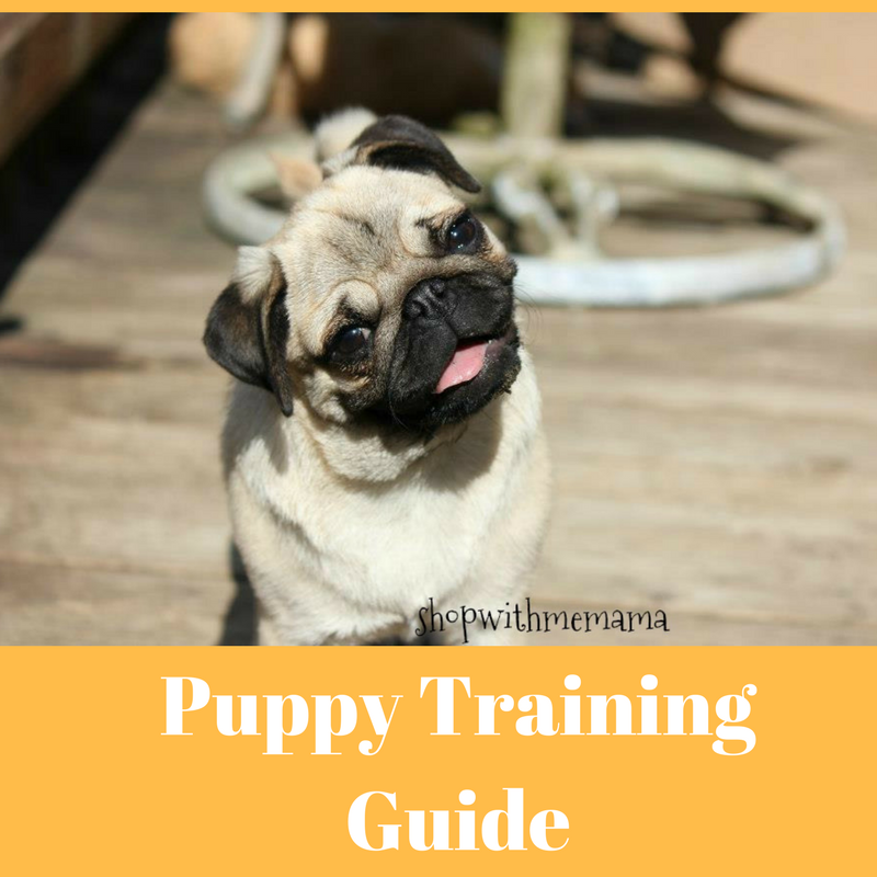 Puppy Training Guide