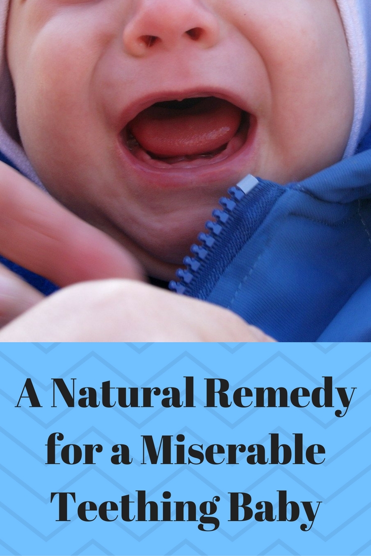 A Natural Remedy for a Miserable Teething Baby