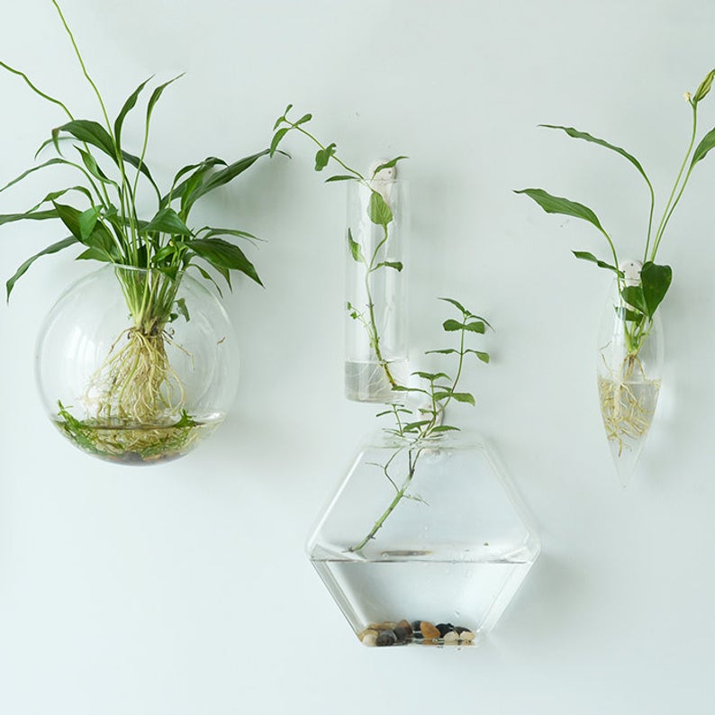 wall terrarium