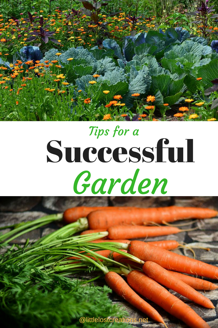 Beginners Guide For Gardening And Spring Gardening Tips