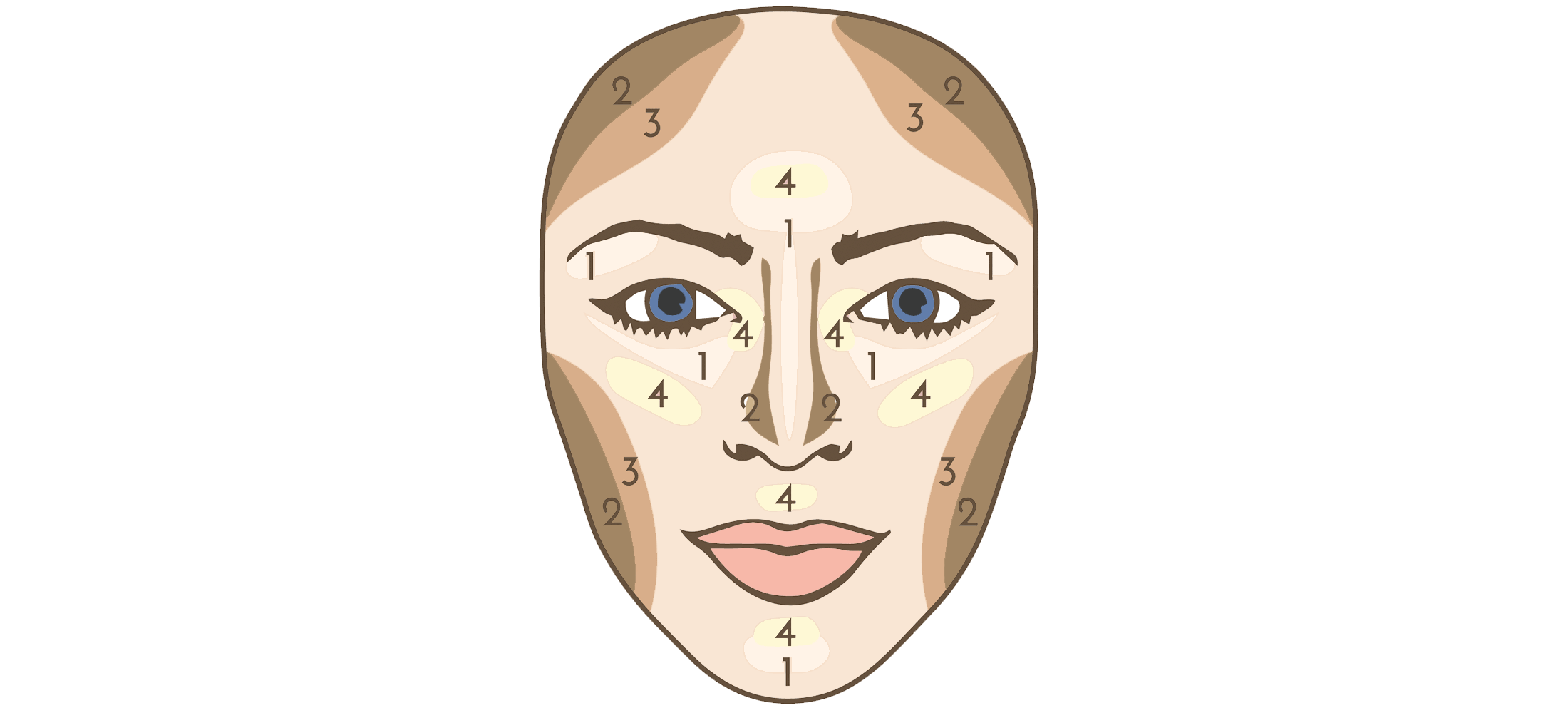 How To Contour Your Face 