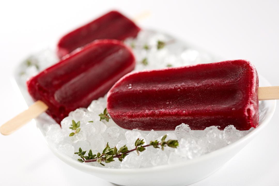 Hibiscus Blueberry Popsicles!