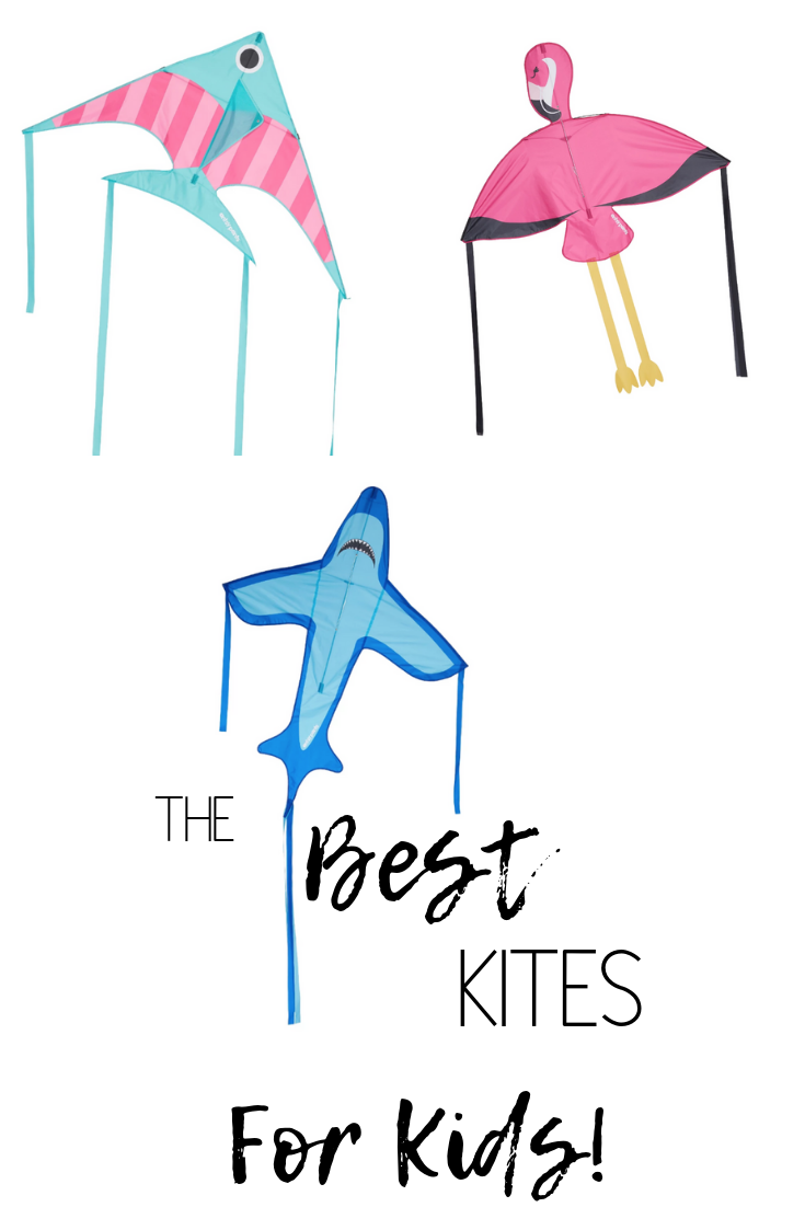 Best Kites For Kids