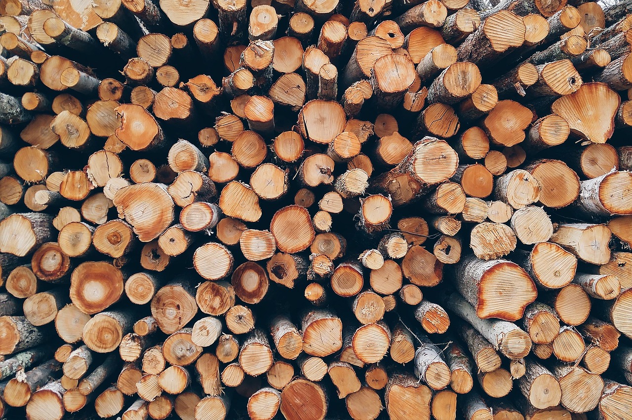 stack of wood