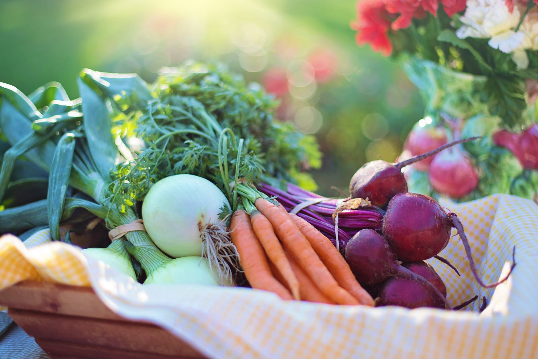 vegetable gardening