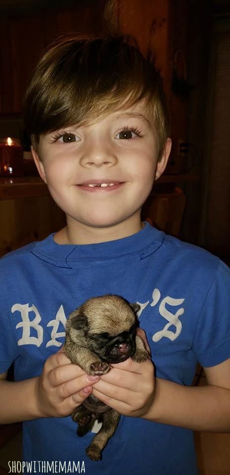 a boy and his baby pug puppy