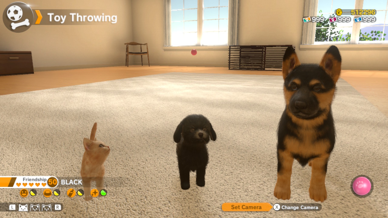 dogs and cats game