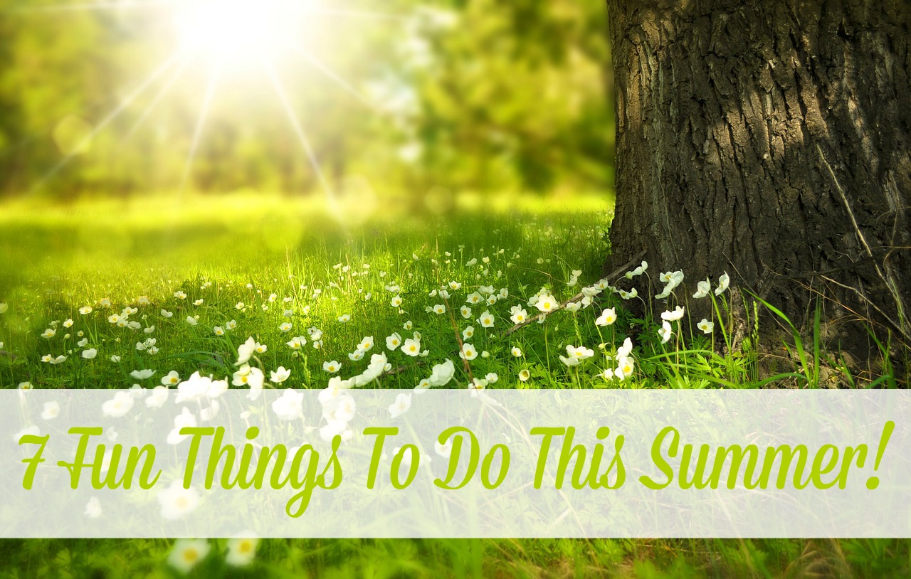 Fun Things To Do In The Summer