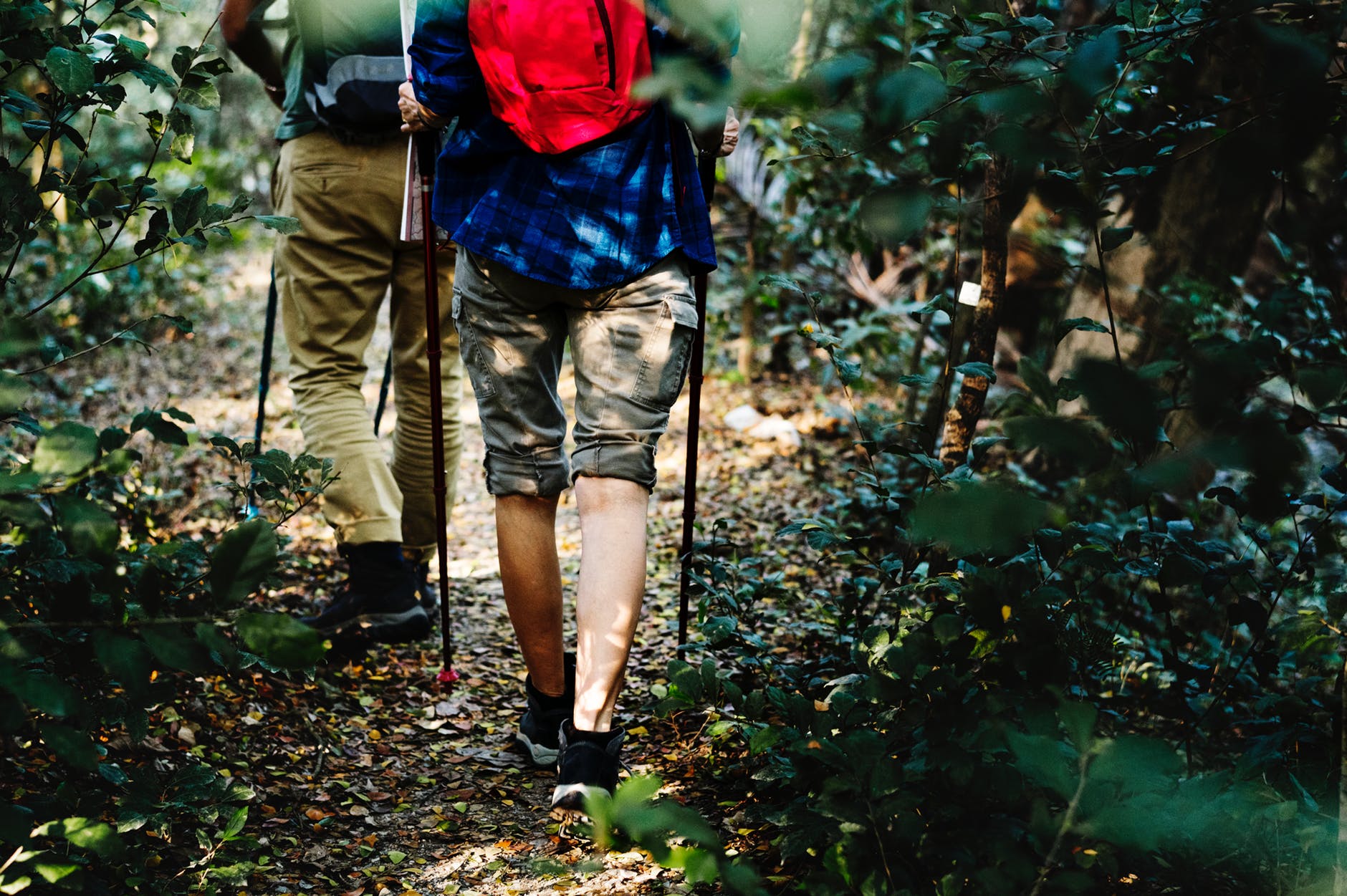 trail hiking and backpacking