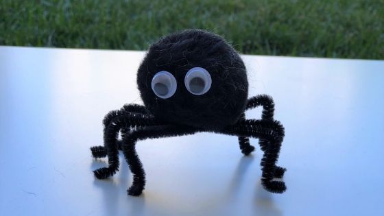 pompom spider