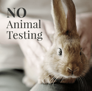 no animal testing