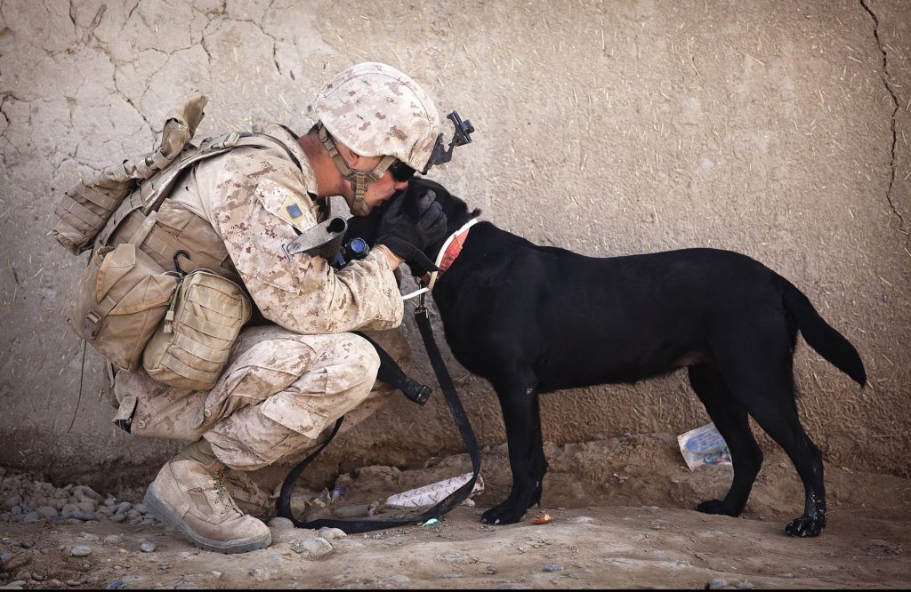 military man with his dog