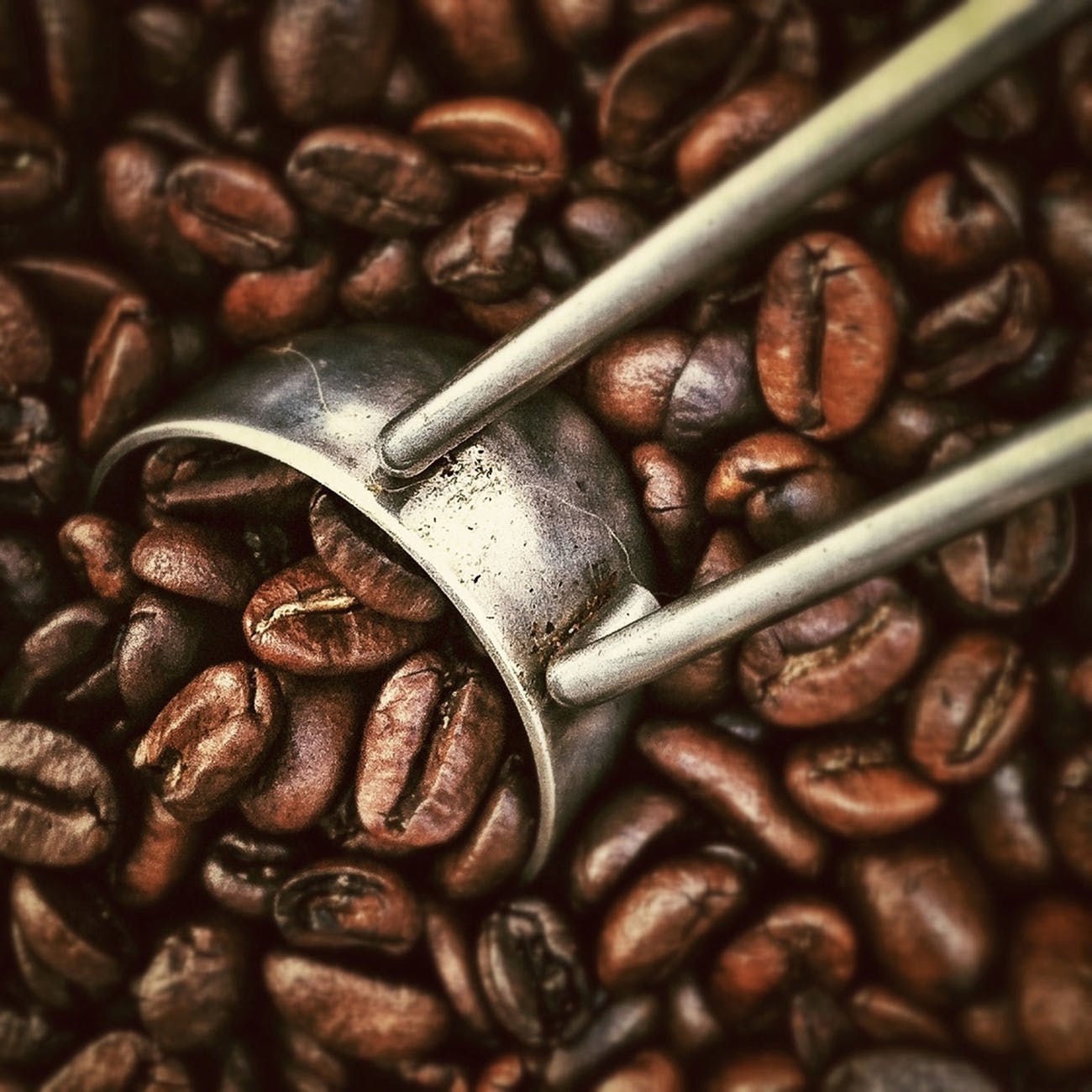 How To Choose The Right Coffee Beans