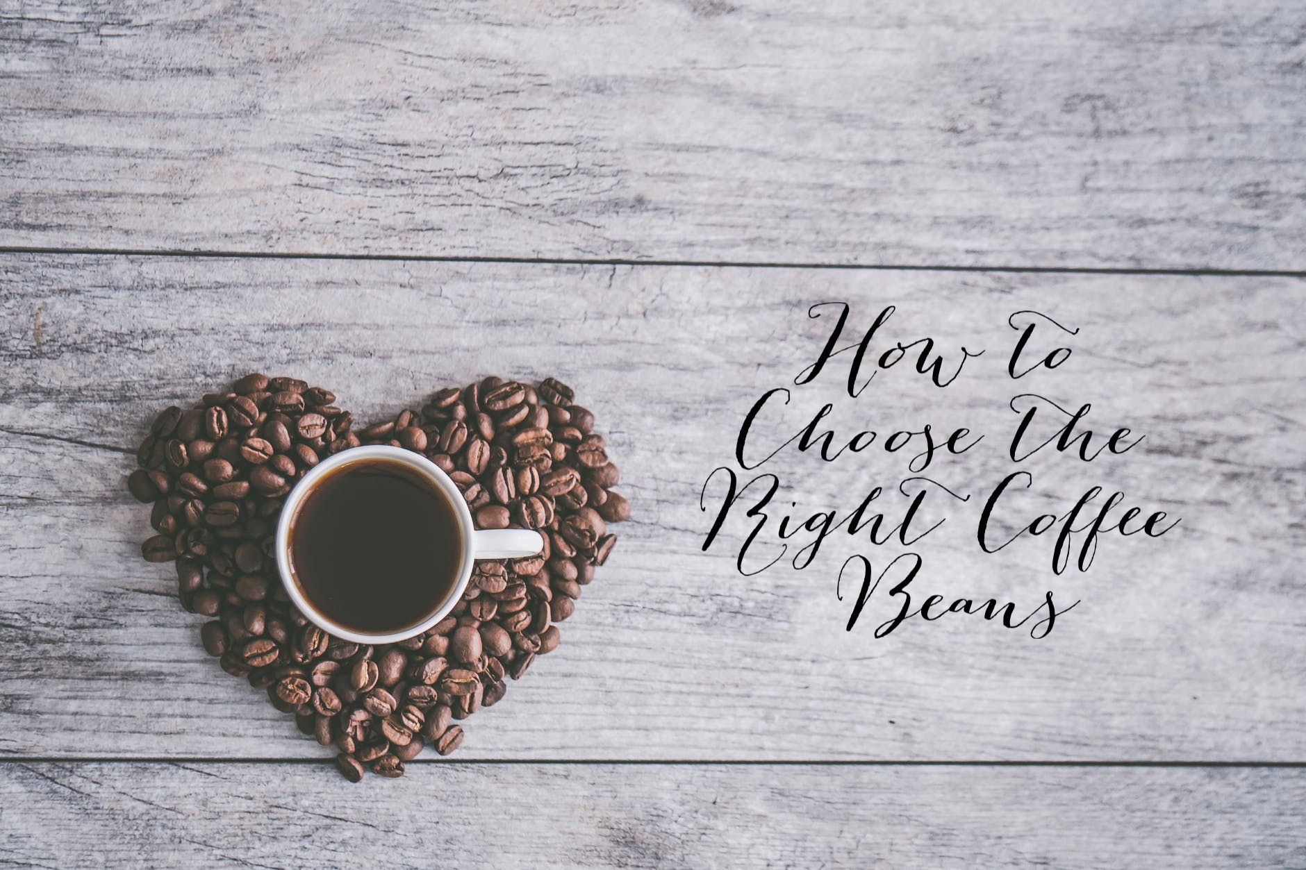 How To Choose The Right Coffee Beans