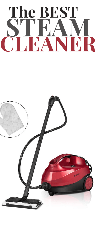 The best steam cleaner