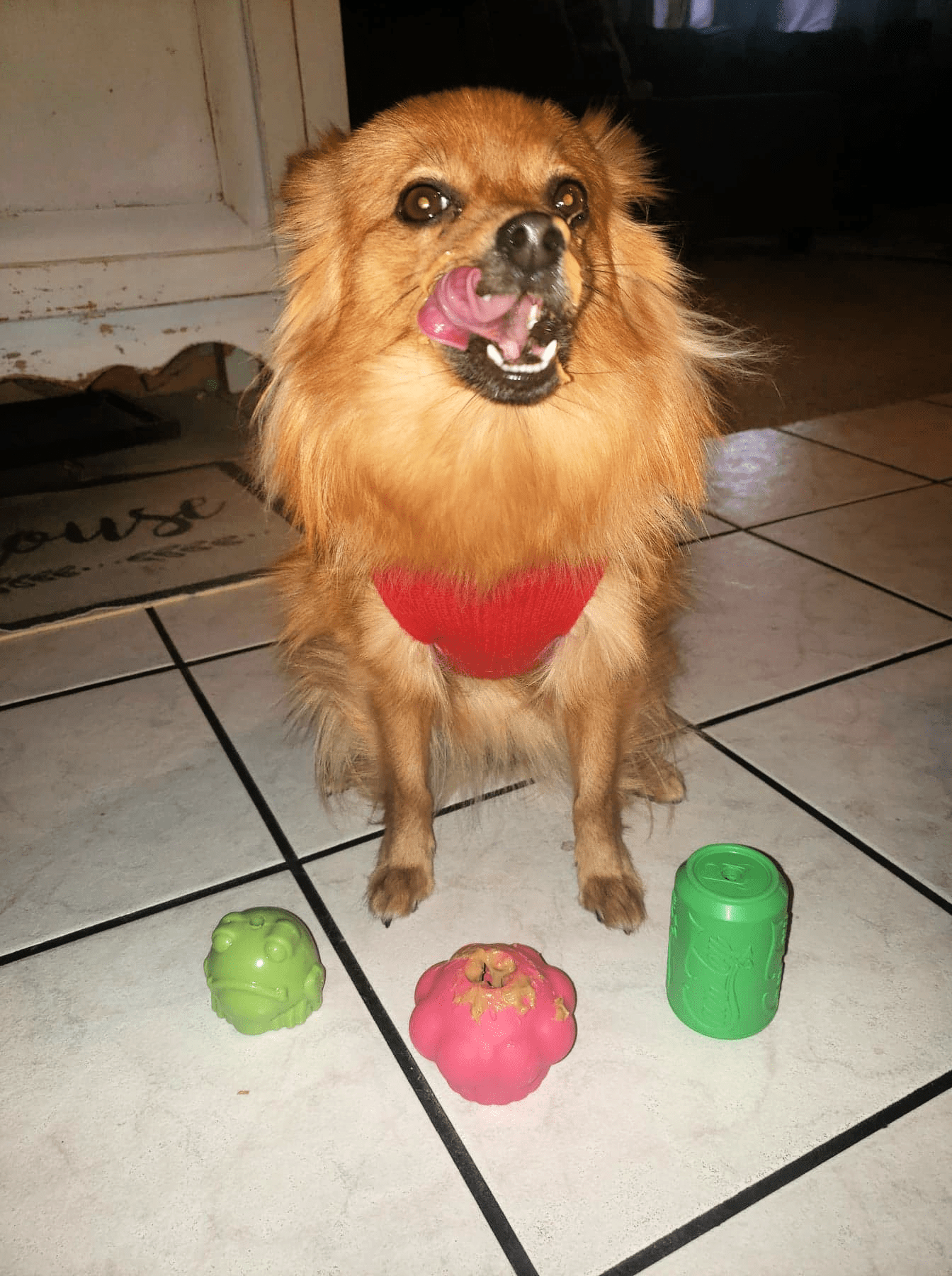 https://shopwithmemama.com/wp-content/uploads/2020/10/Sodapup-dog-chew-toy.png