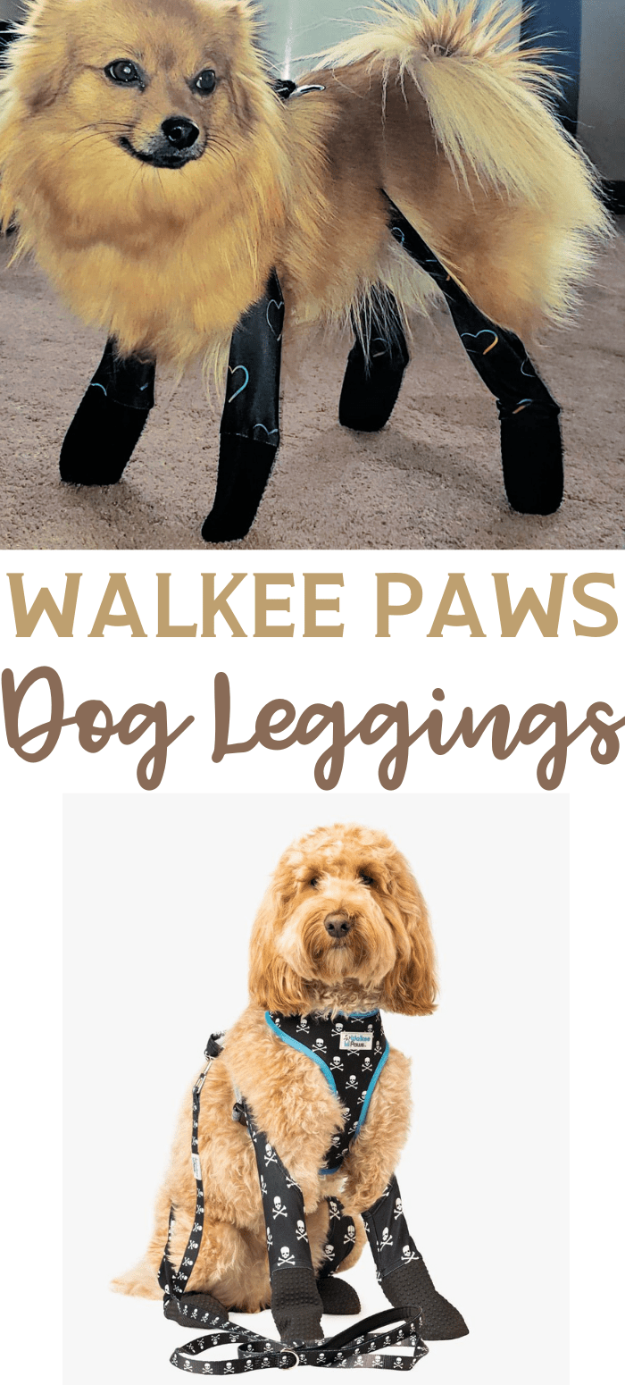 Walkee Paws Dog Leggings With Shoes