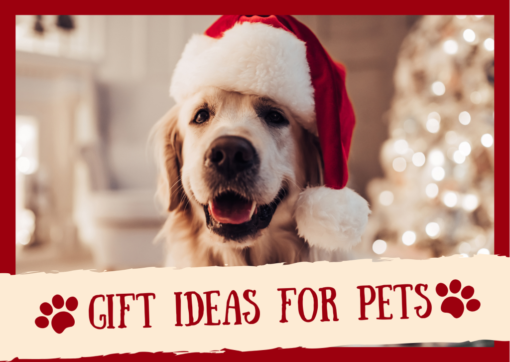 Holiday Gift Guide For Pets